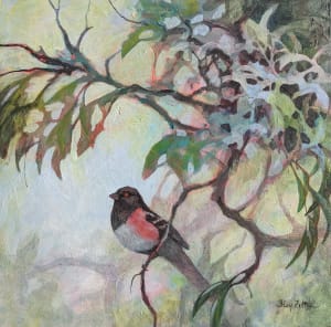 Playful Towhee