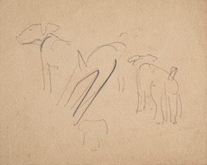 Untitled (Dog Sketches)