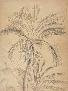 Untitled (Hope Gardens)