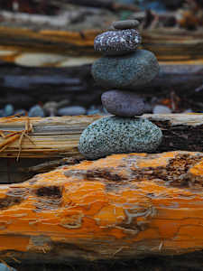 Driftwood and Stones, Goldsmiths Inlet