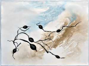 Trace Elements #8