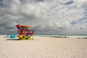 Lifeguard