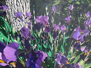 Nadia's Irises