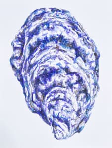 Oyster I