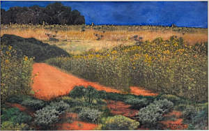 Among the Sunflowers