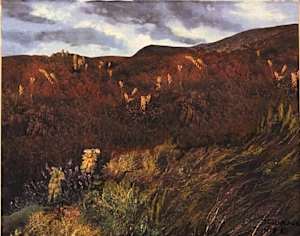 Hillside Study