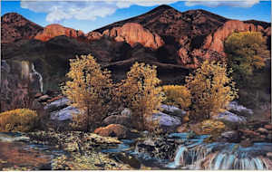 Mountain Ash at Cinnamon Ridge