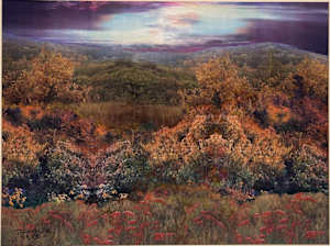 Virginia Hills