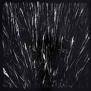 Marsh Hay Studies I - VIII, #2