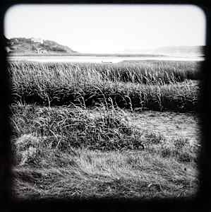 Wellfleet Bay Tidal Marsh Views I - VI, #2