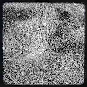 Marsh Hay Studies I - VIII, #7 #3
