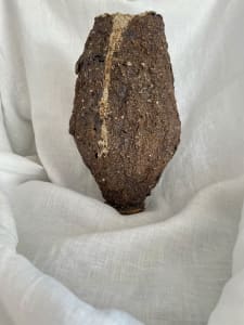 Plum Cove Experiment #2