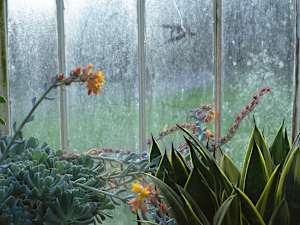 Botanic Gardens 6, Belfast