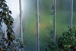 Botanic Gardens 7, Belfast