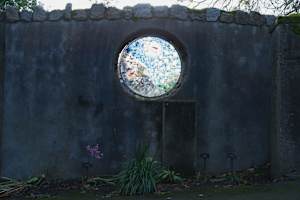 Botanic Gardens 13, Dublin