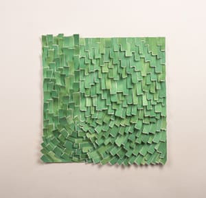 Certain Fields 10