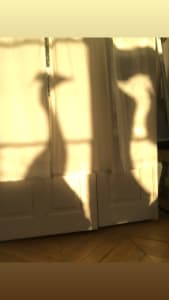 Playful Heron Shadows at the Chateau