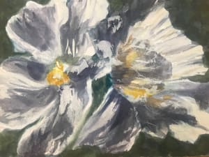 Matilija Poppies at Dusk