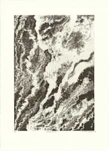 sGena 7