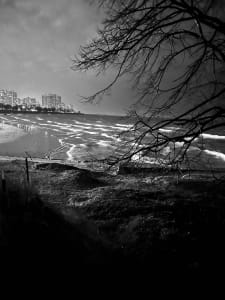 Foster Beach 1