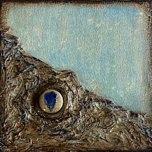 Shard of Tranquility