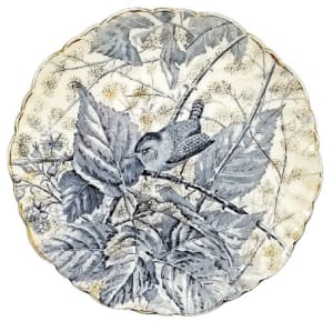 Wren