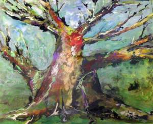 Coral Tree, Old but Alive