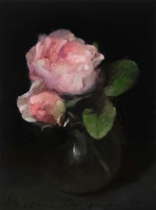 Garden Roses