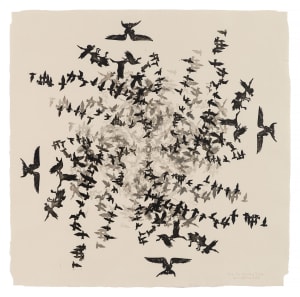 Migrating Gyre EV 5/6