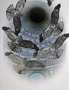 Six White-tailed Kites in the Pantheon, Rome