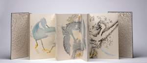 Angry Egrets Book (ed 6)