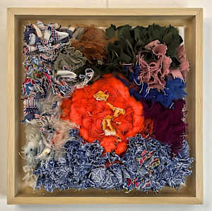 Orange in Bloom: A Valencia Orange