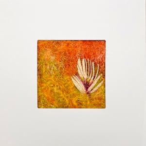 023