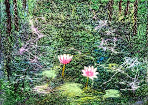 lily pond