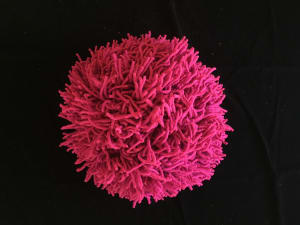Giant Magenta Pom Pom