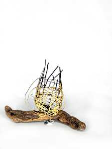 washed up by the ocean