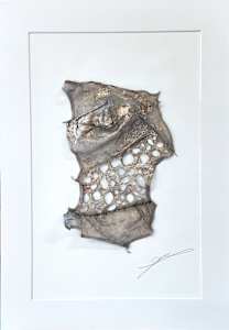 glimpses of things not seen ii