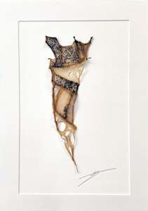 glimpses of things not seen vii