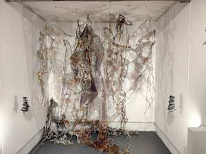 between shadow and substance : uncertain knowing