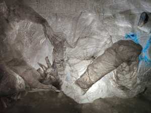 Fluid becoming ... Inertia