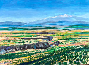 Gorge of the Rio Grande near Taos