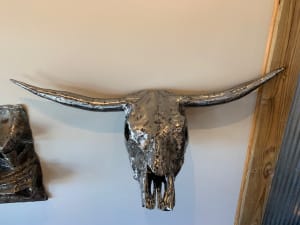 Bull Skull