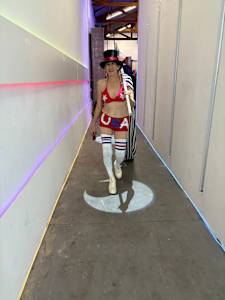 Unraveling the Constitution.01