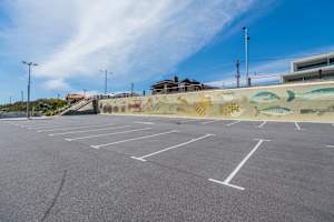 Creatures of Marmion Marine Park