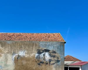 Street Art, Estarreja