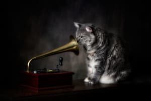 RCA Victor Outtakes 13/250