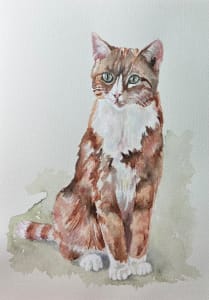 Ginger