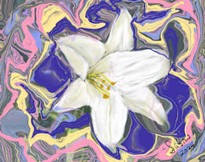 Lily Abstract
