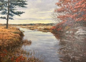 Dublin Marsh