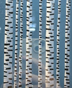 Abstract Birches
